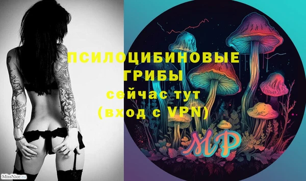 a pvp Алексин